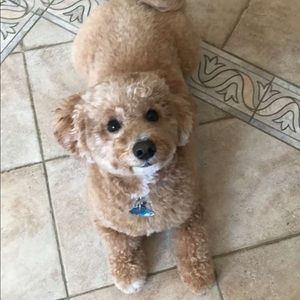 Meet your Posher, Fernanda